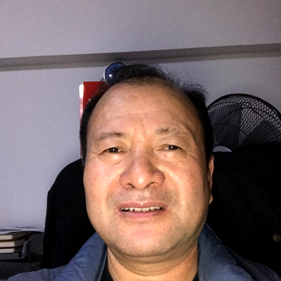 灰狼停止欣慰的照片