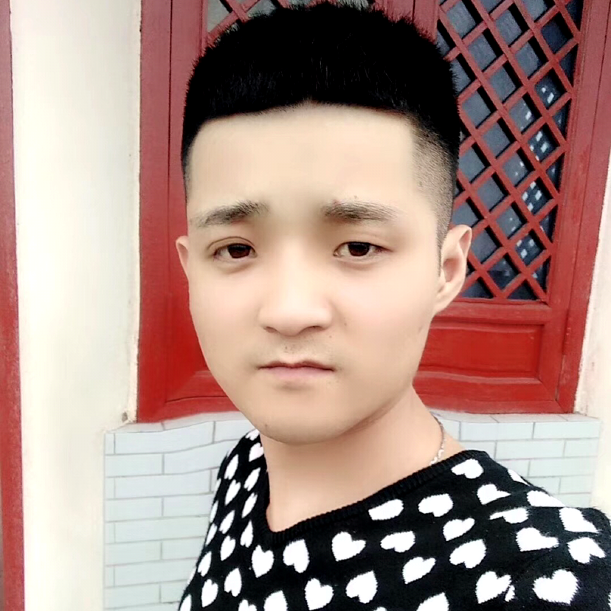 小刺猬等于微笑的照片