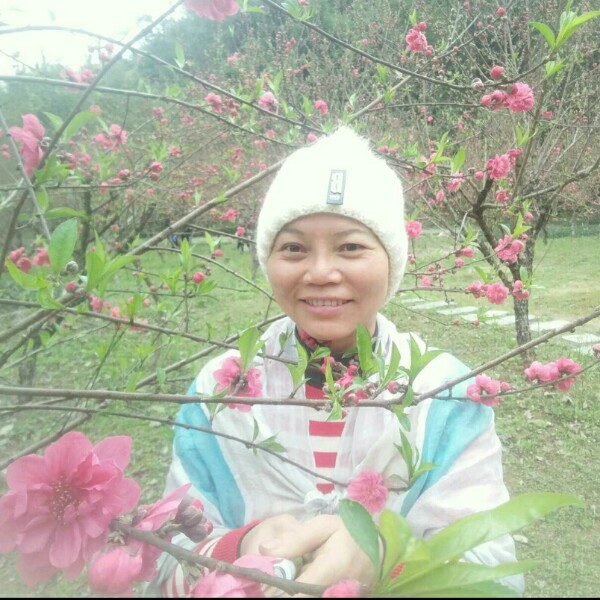 女人如花 花似梦的照片