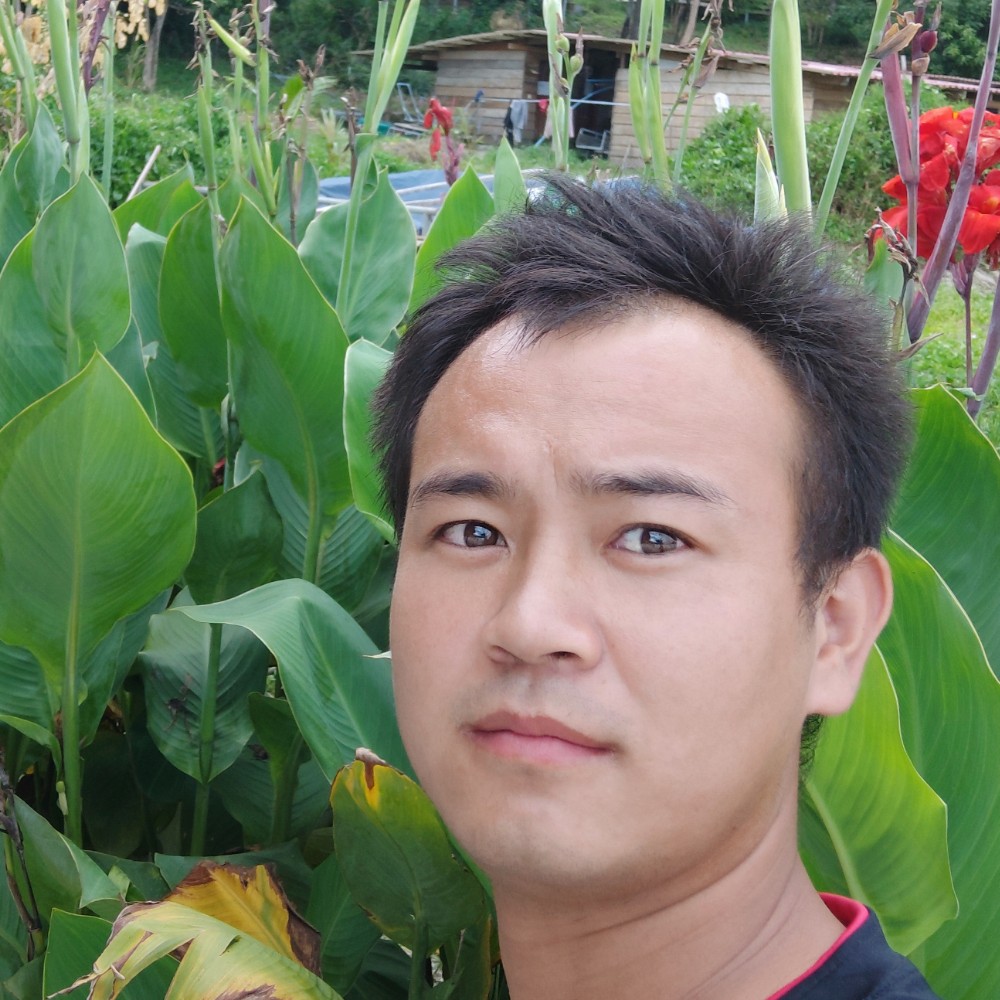 犀牛浅吻繁荣的照片