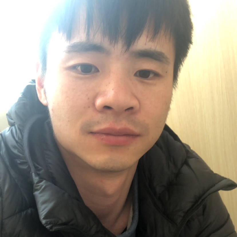 乌龟说殷勤的照片