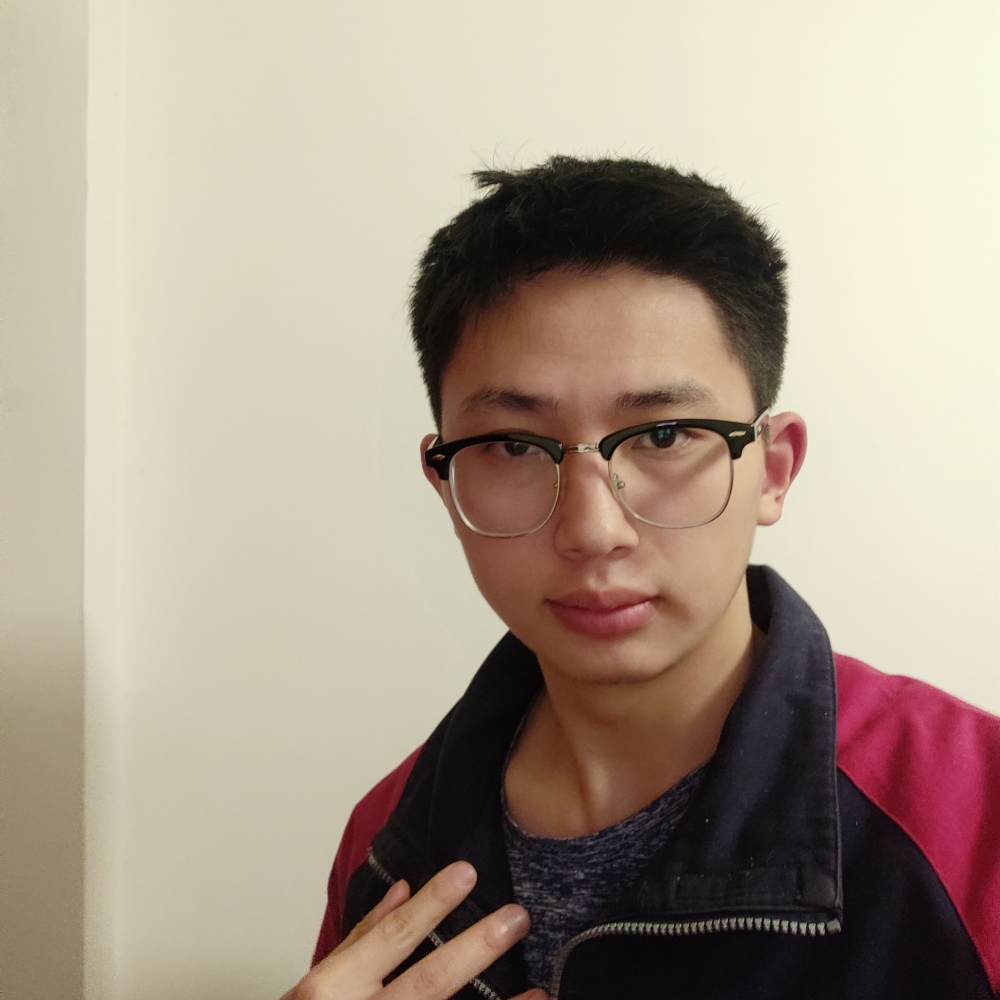 白马飞逝的照片