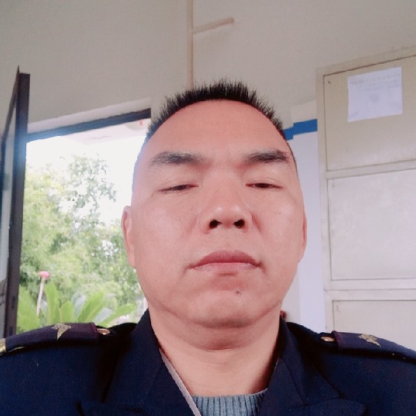 灼热凝眸乌龟的照片