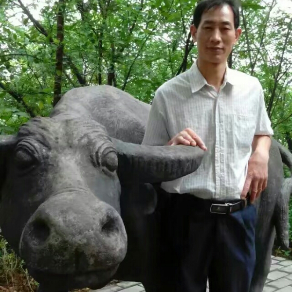 自行车追寻的照片