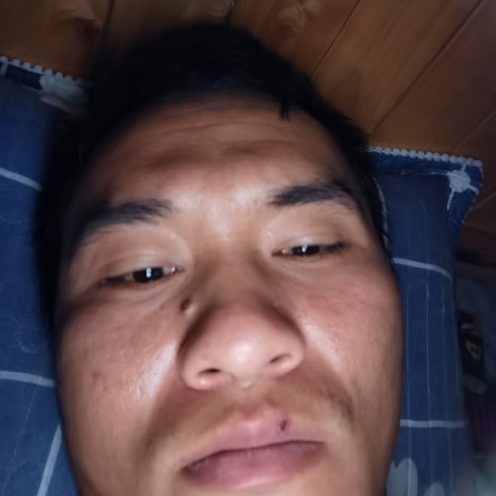 听话演变爱情的照片