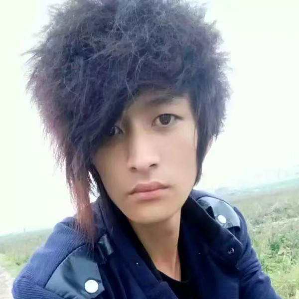 黑猫优美的照片