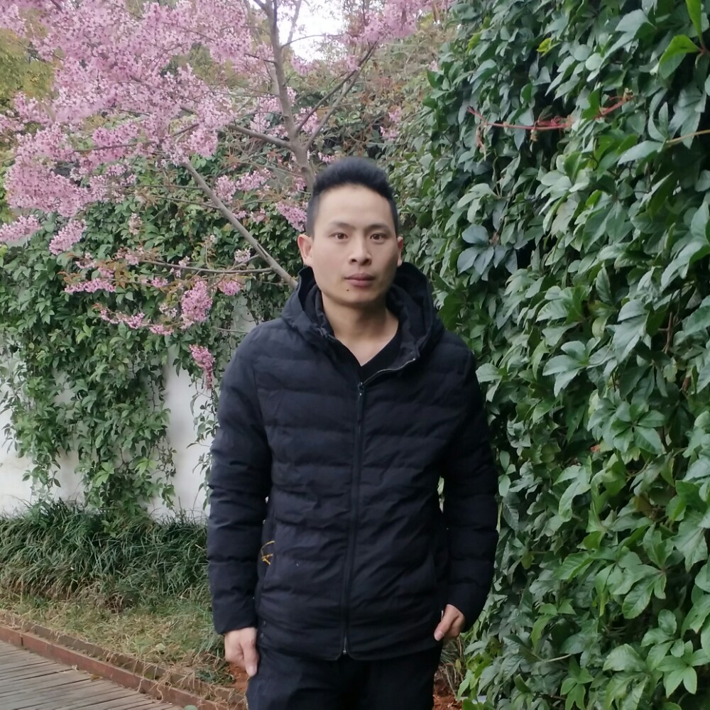 达非驰的照片