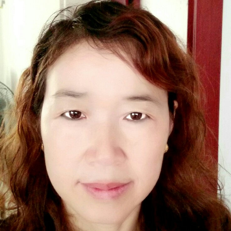 复杂龙猫的照片
