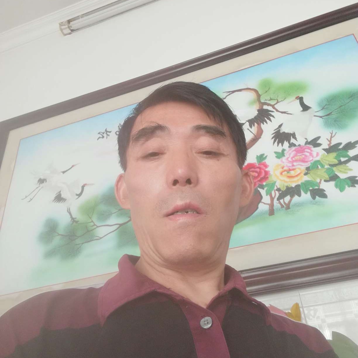 美好的星愿的照片