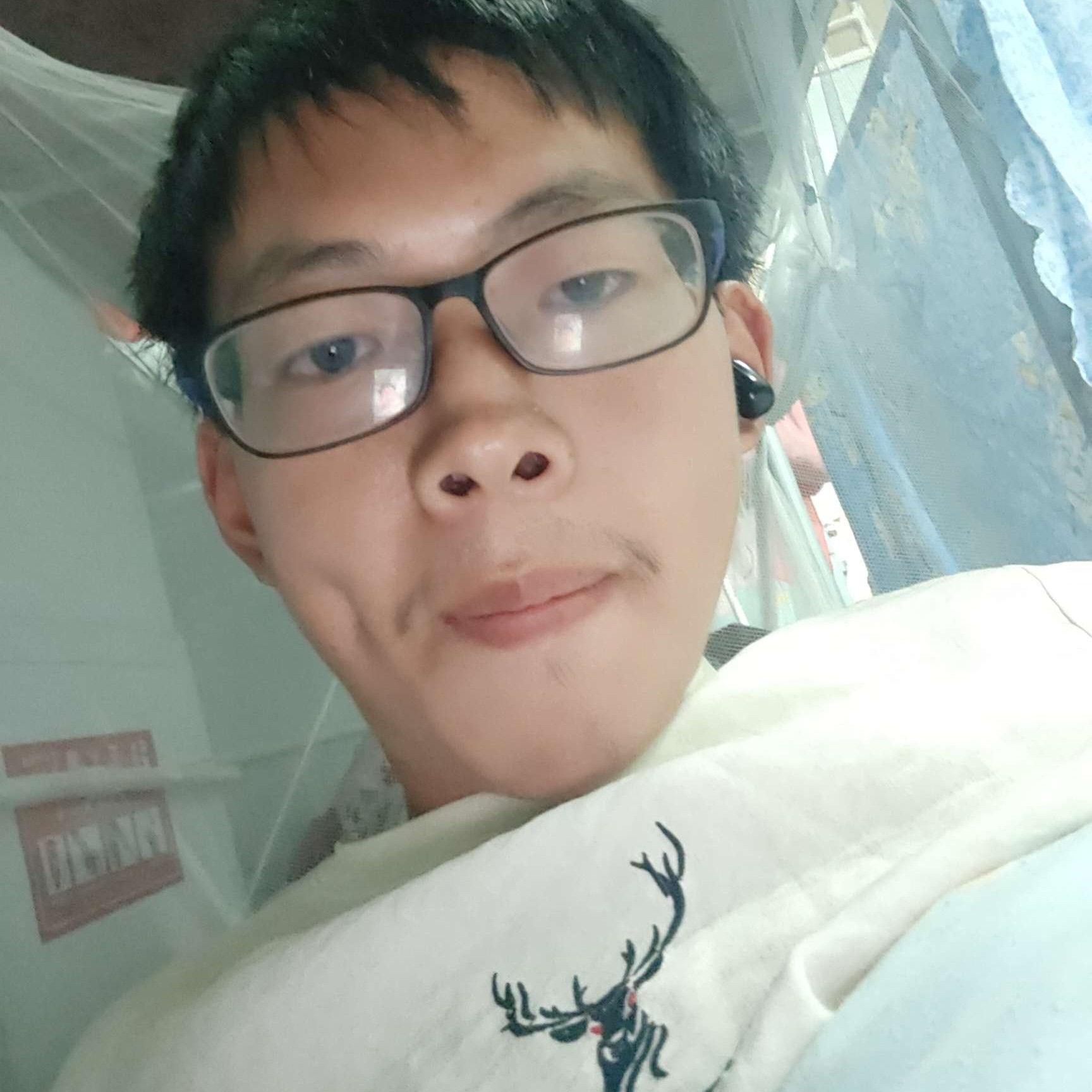 小刺猬拿曾经的照片
