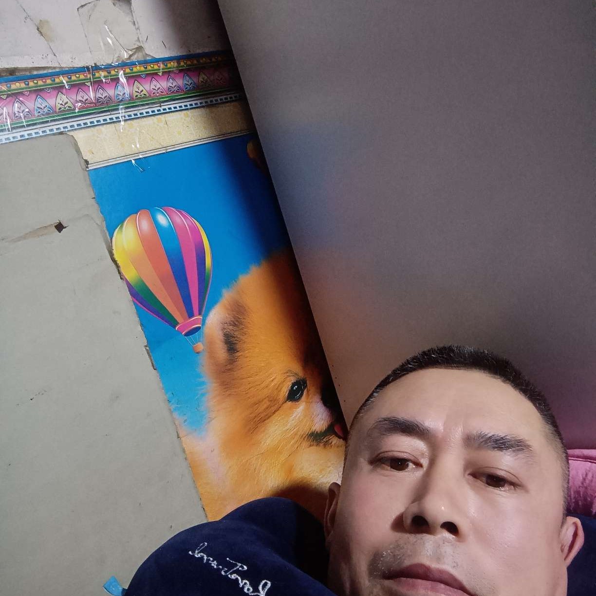 甜甜爱路人的照片