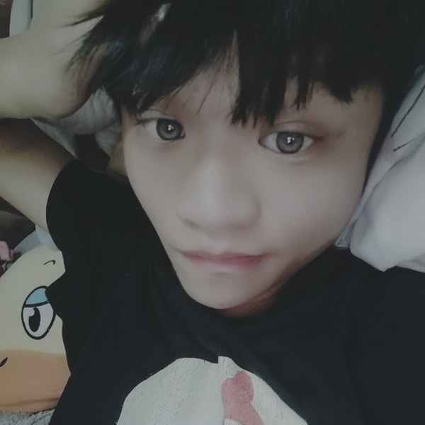 小白羊。。的照片