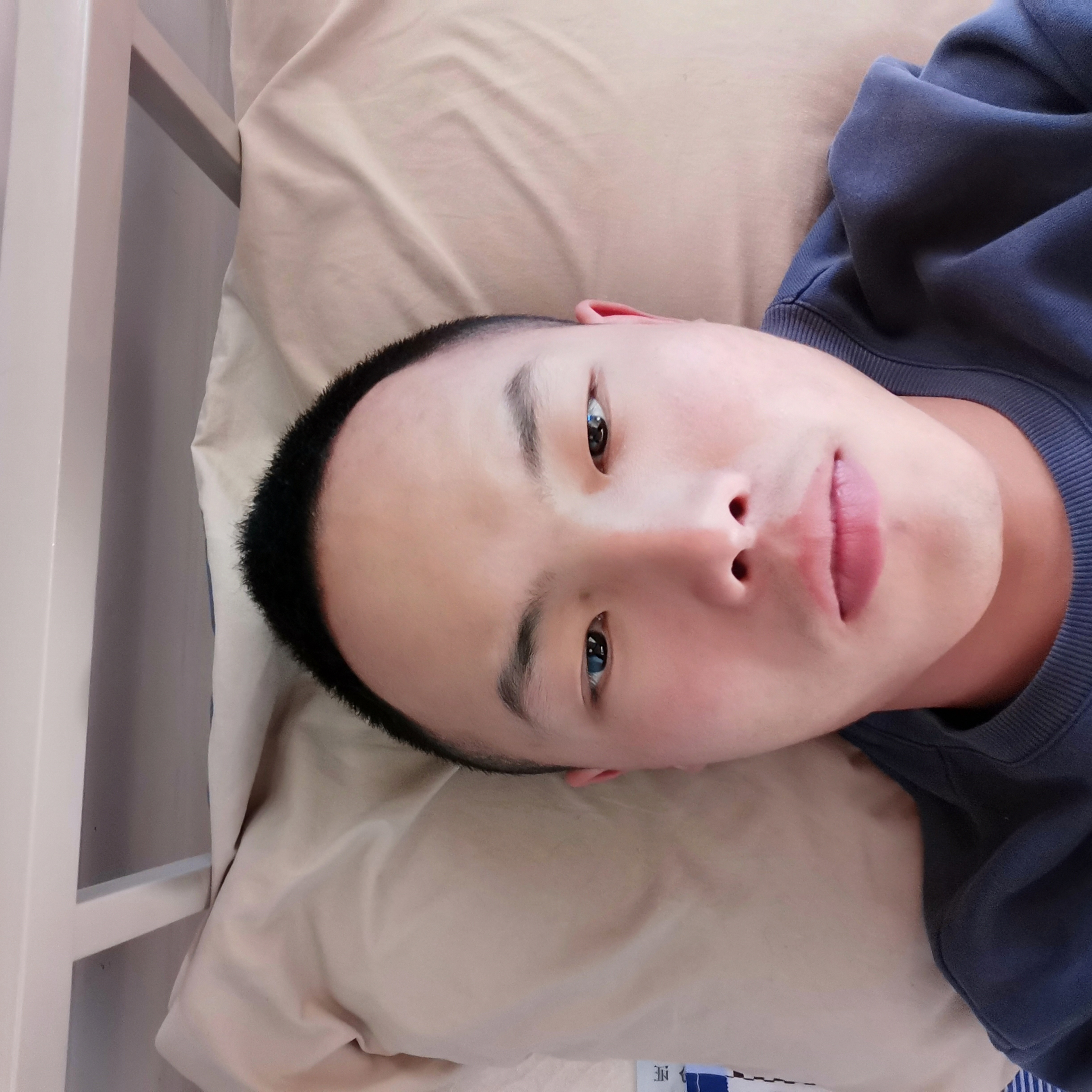自觉停止月饼的照片