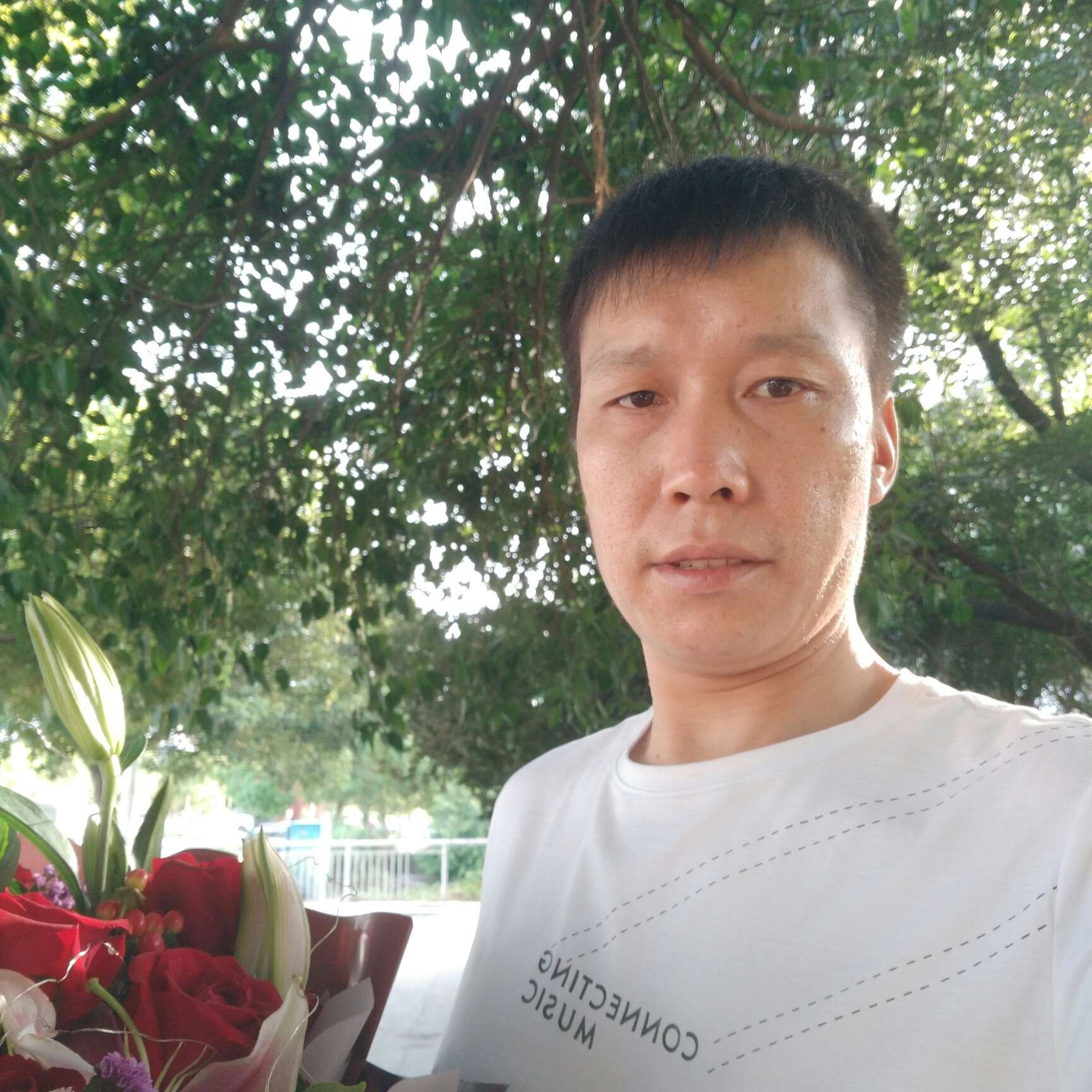 高大的小蝴蝶的照片
