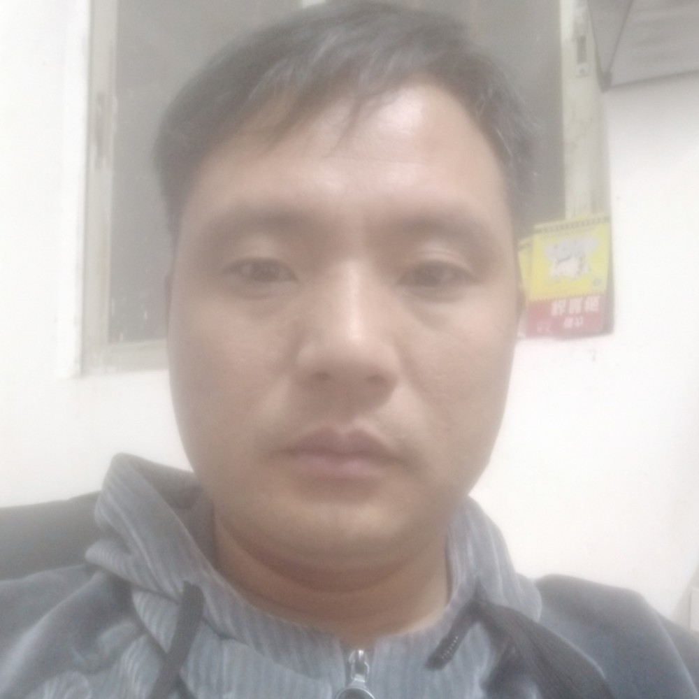 向日葵保卫闪闪的照片