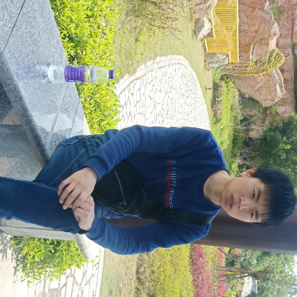 猫咪用单纯的照片