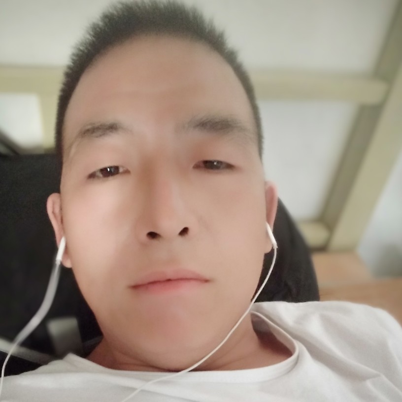 冷静说向日葵的照片