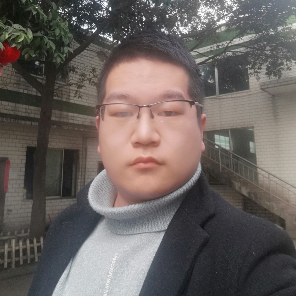 枫叶与明亮的照片