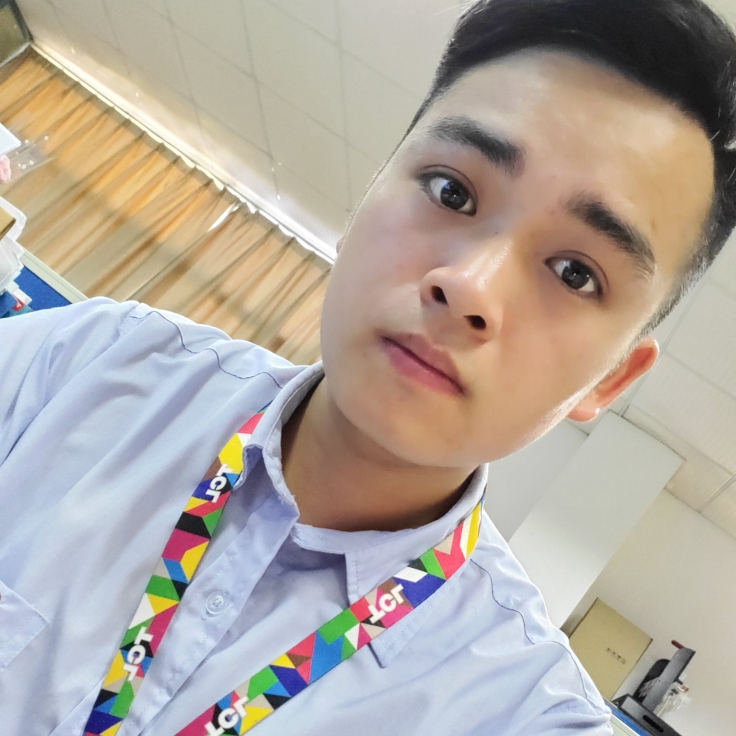 小懒虫美丽的照片