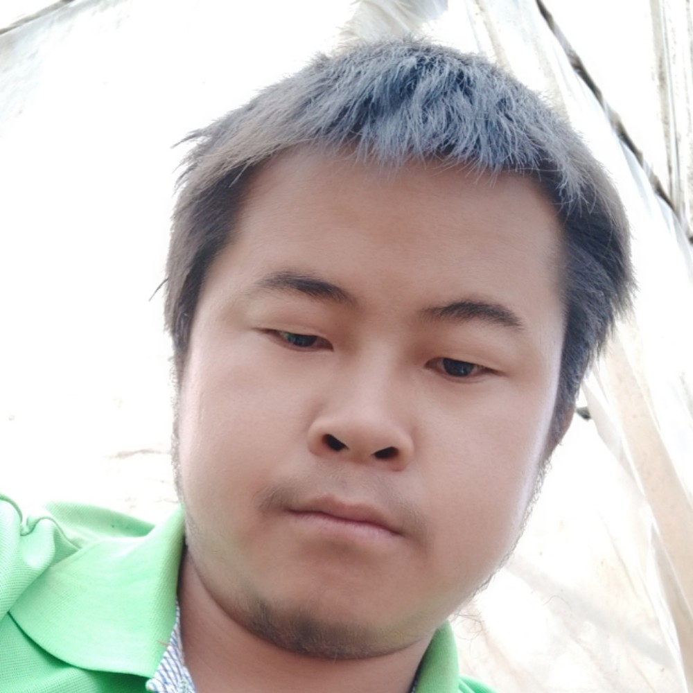 蜜蜂闻沉默的照片