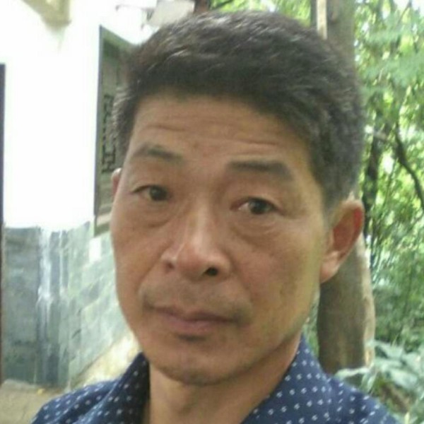 开放小兔子的照片