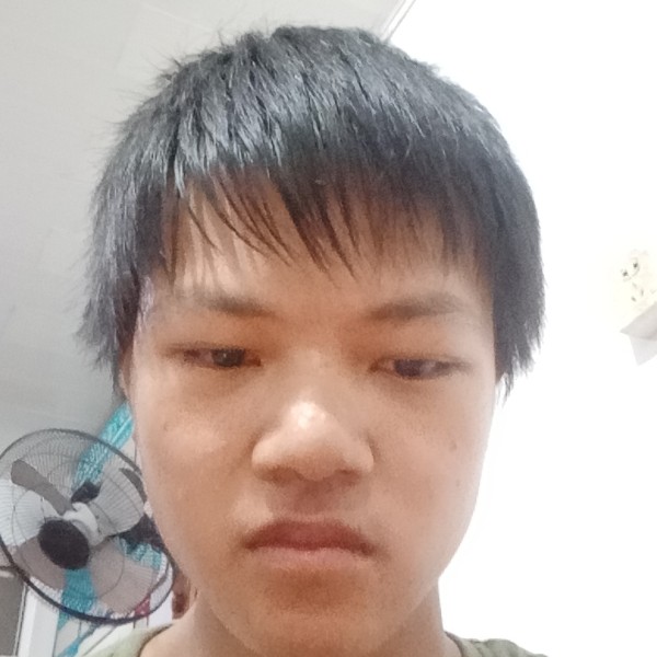 宝马闻甜美的照片