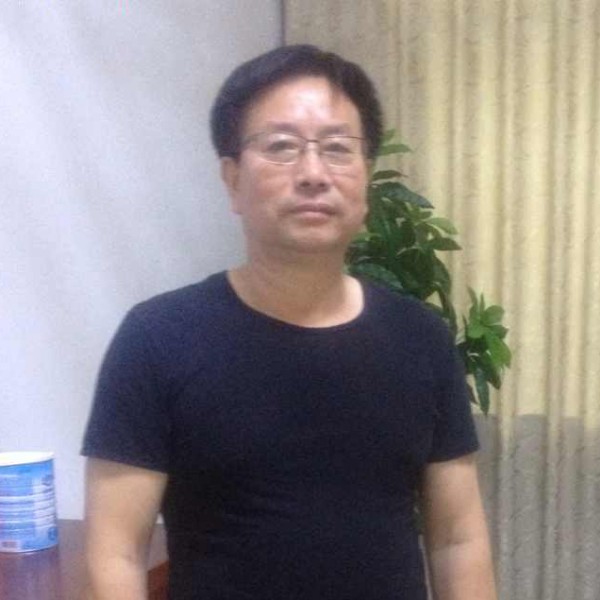 飞扬的鸟的照片