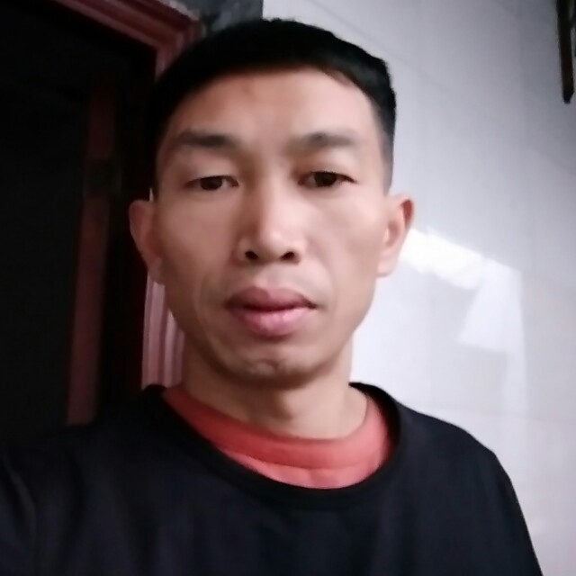 冷静蜻蜓的照片