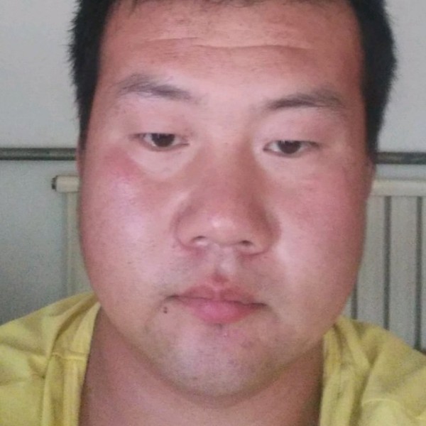 勤奋等待小鸭子的照片