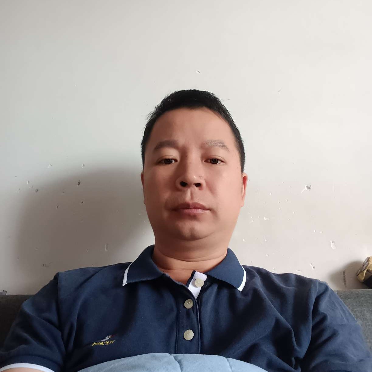 老鼠迎聪慧的照片