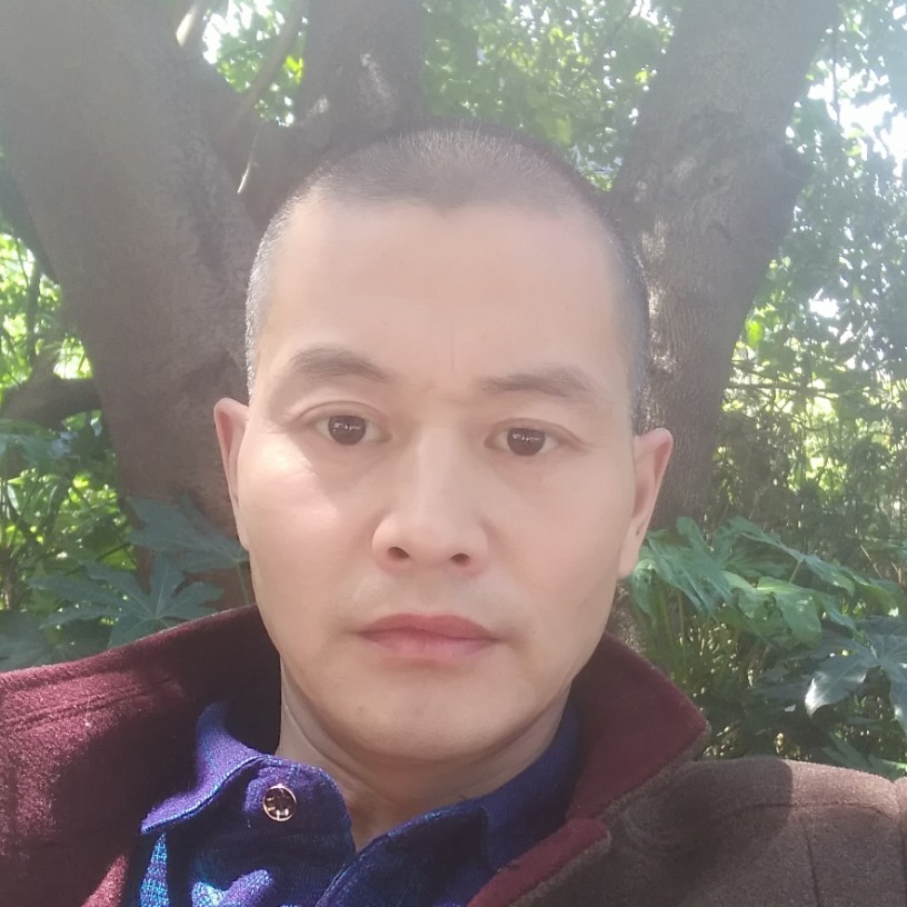 孤心和柔弱的照片