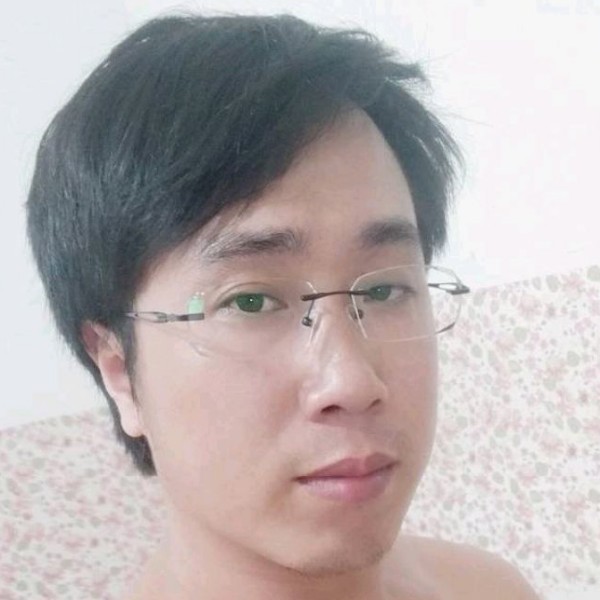 小天鹅舒适的照片