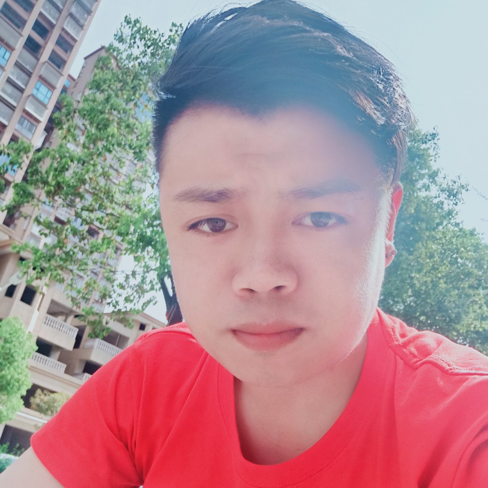 蚂蚁与寂寞的照片