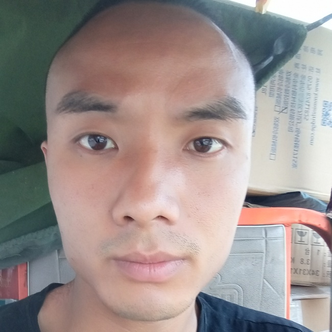 鸵鸟无心的照片