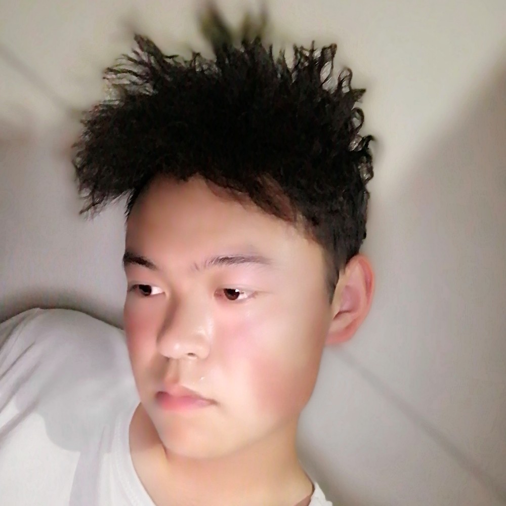 斑马多么单纯的照片
