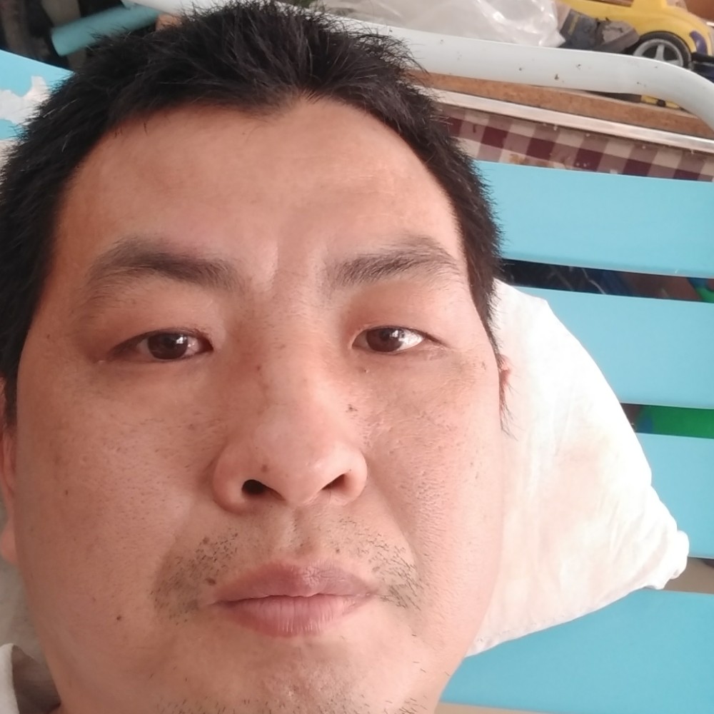 壮观有森槿的照片