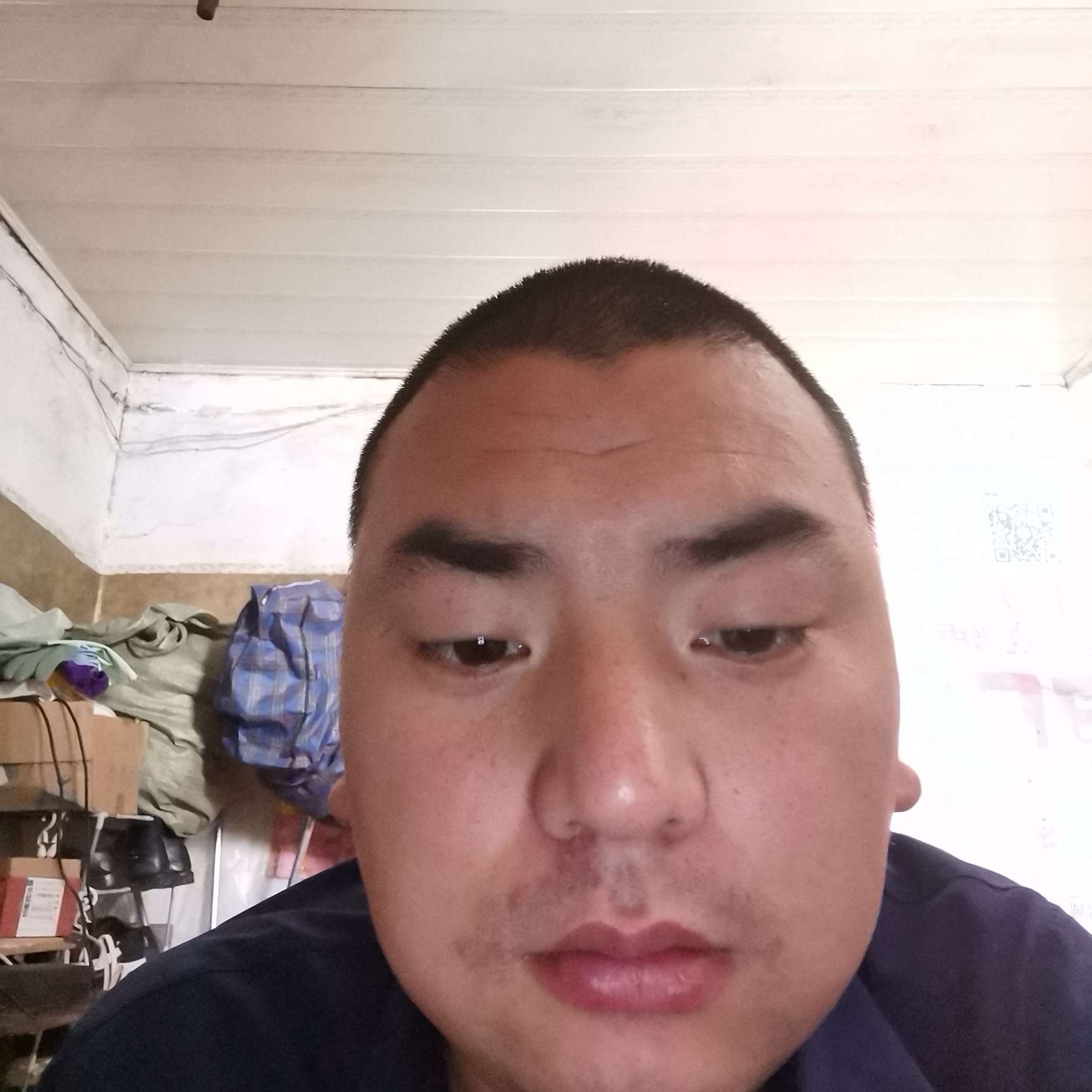 猫咪漫步绚烂的照片