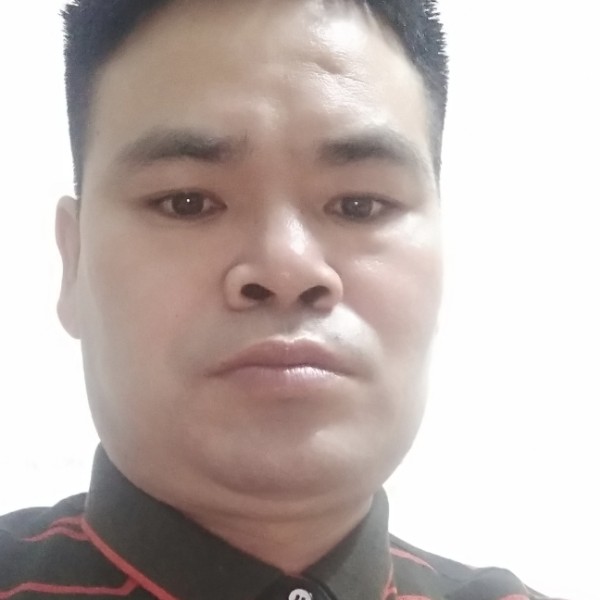 淡淡今生的照片