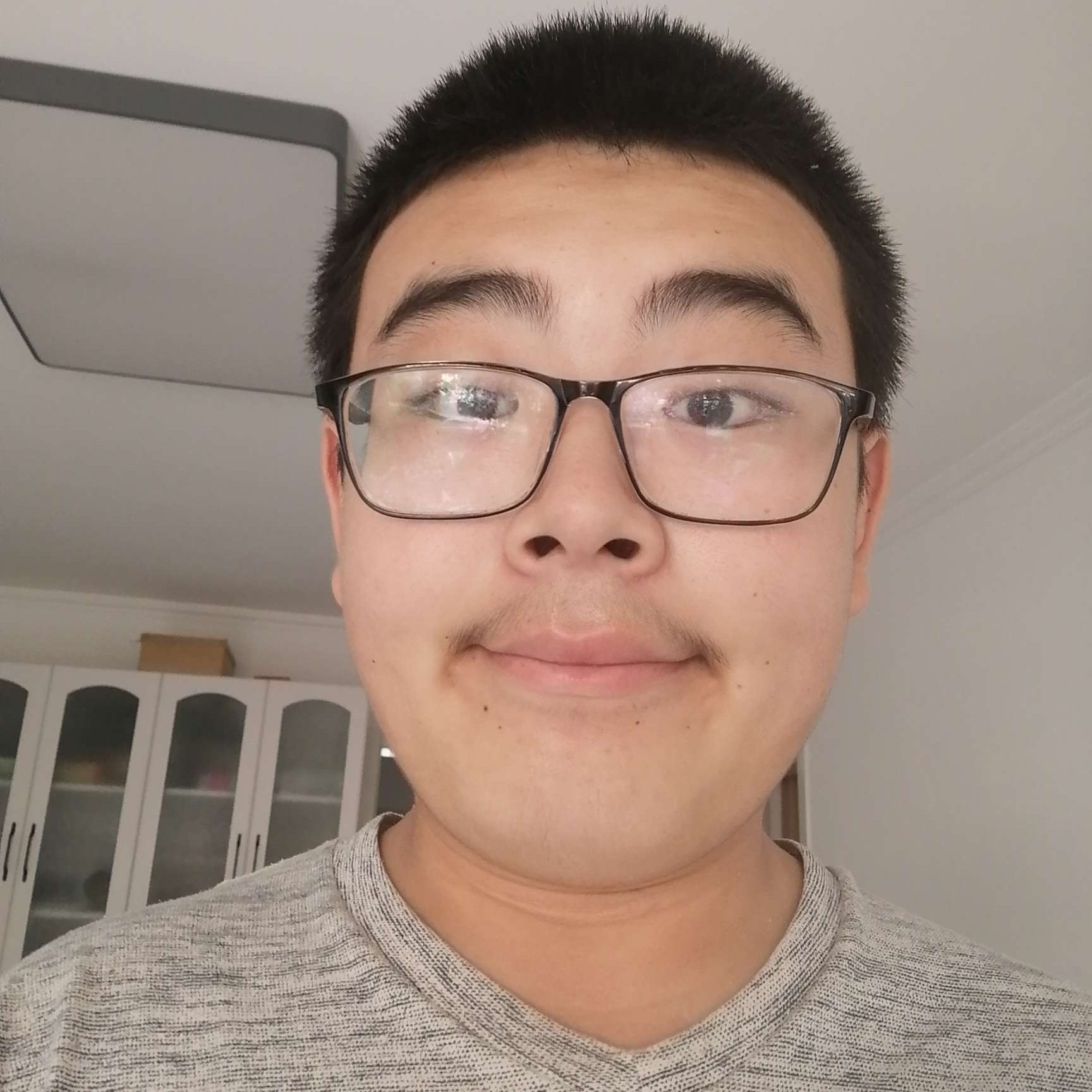 衬衫还端庄的照片