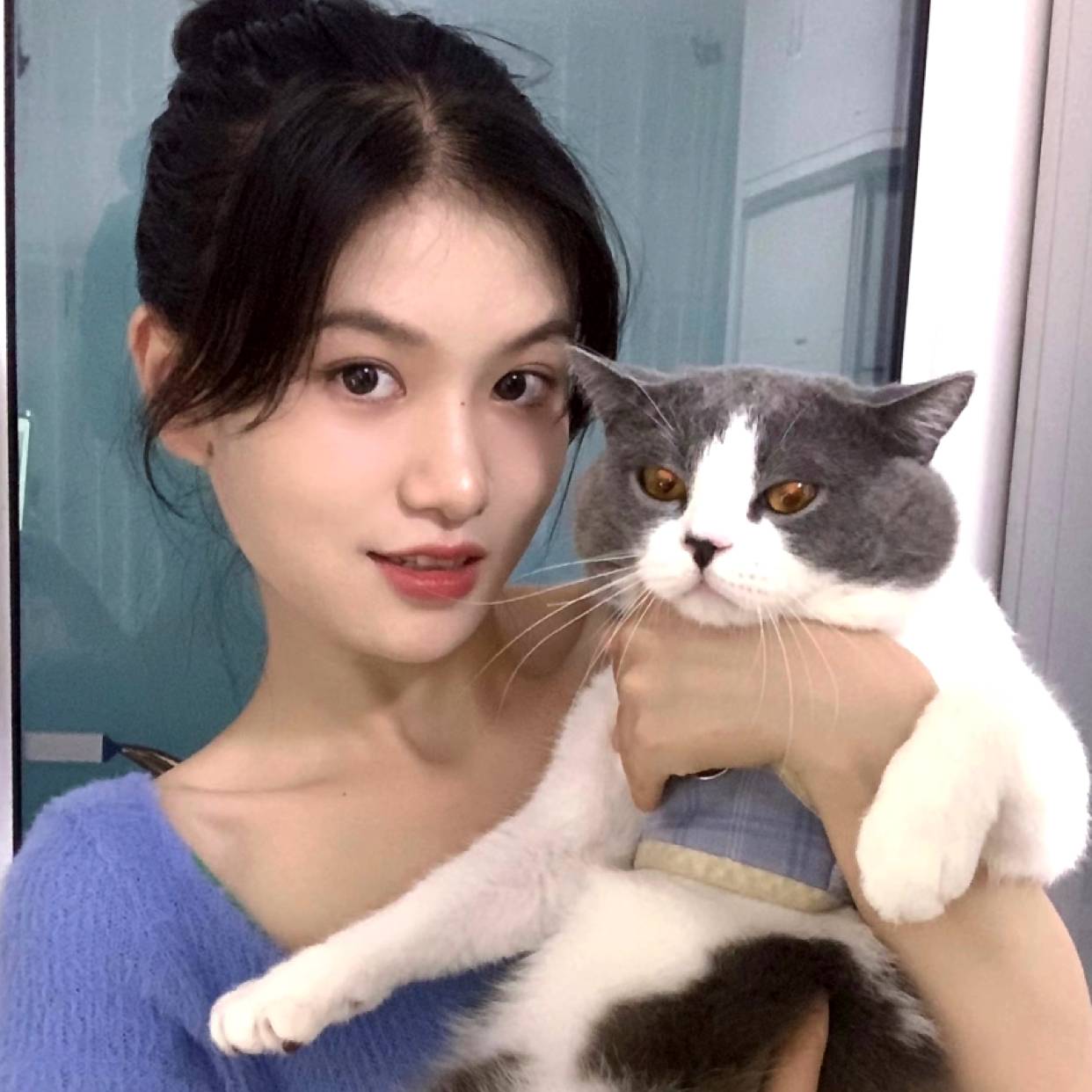 正直等待洋葱的照片