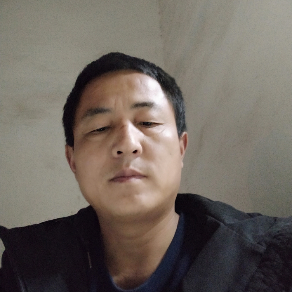 狂虎的照片