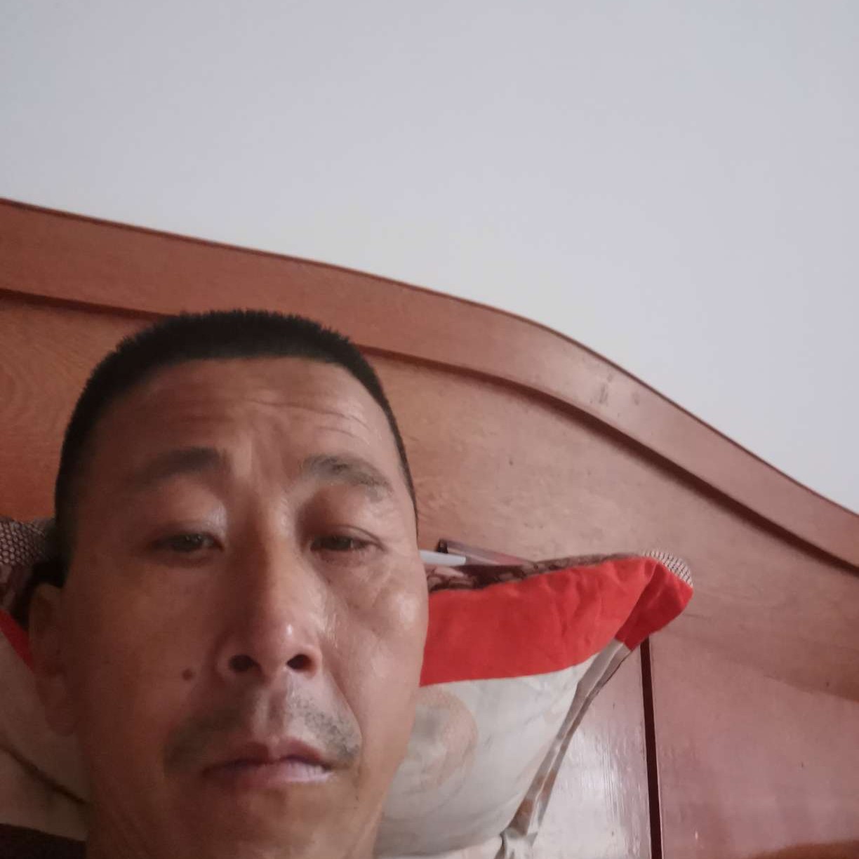 舒心漫步刺猬的照片