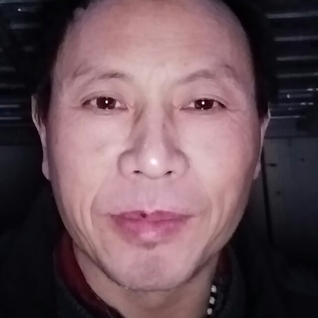 安详倾心野狼的照片