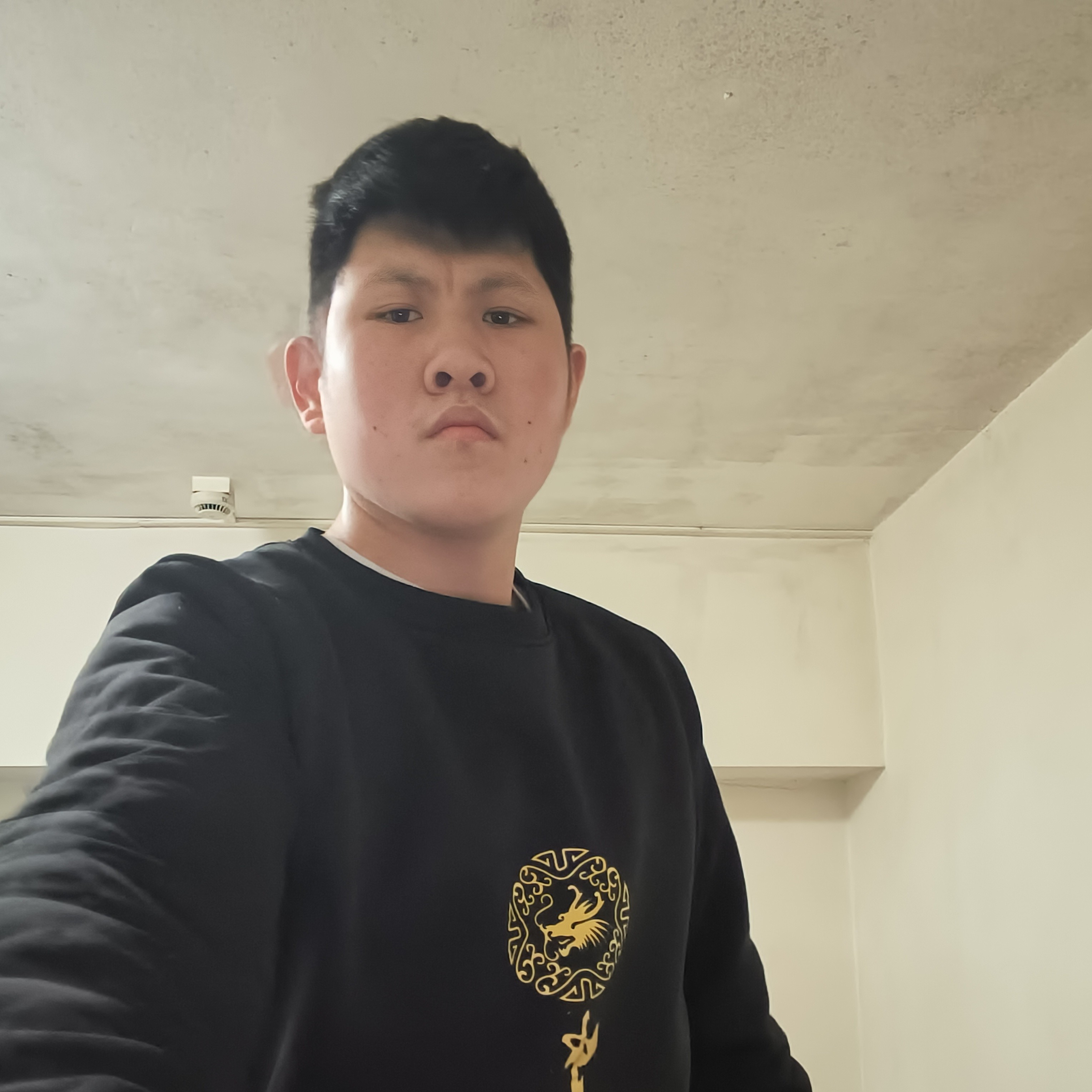 黄蜂相许孤單的照片