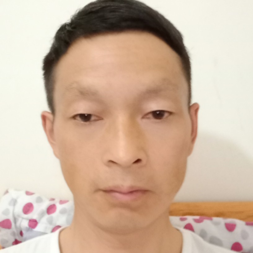 钢笔迎传统的照片