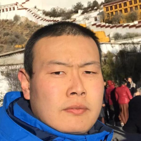 会游泳的兔子的照片