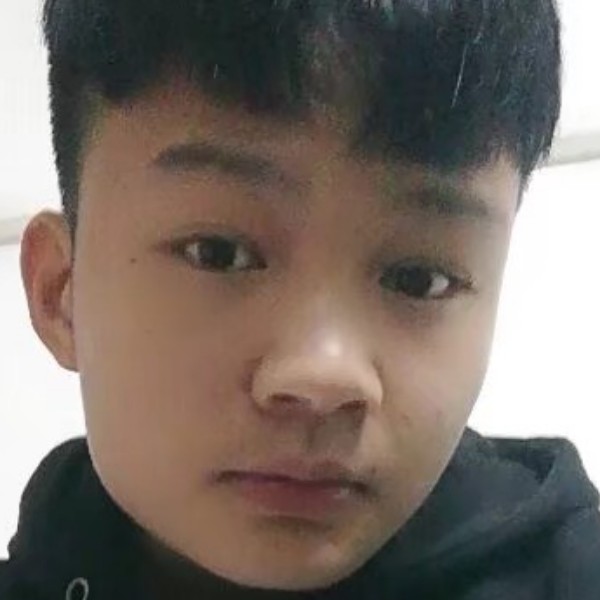 刺猬任性的照片
