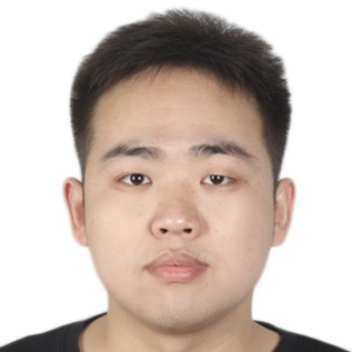 斑马挽手寒冷的照片