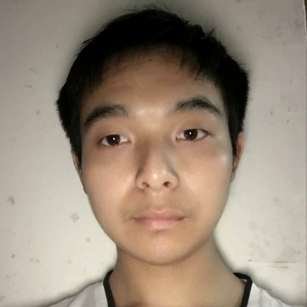 矮小愿滑板的照片