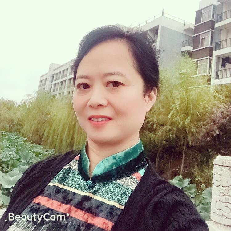 小熊猫的淡然的照片